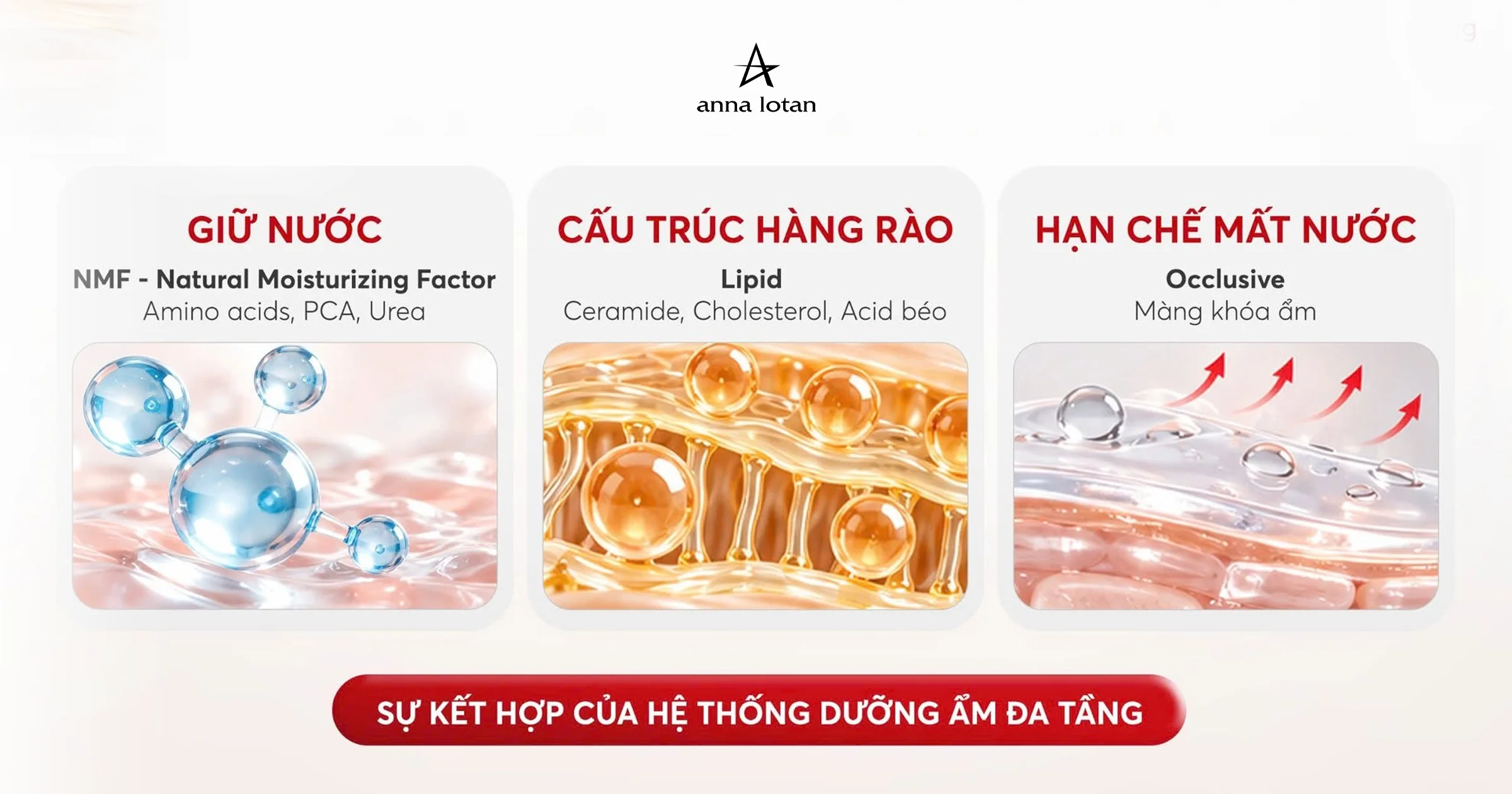 hyaluronic-acid-ha-cau-chuyen-ve-duong-am